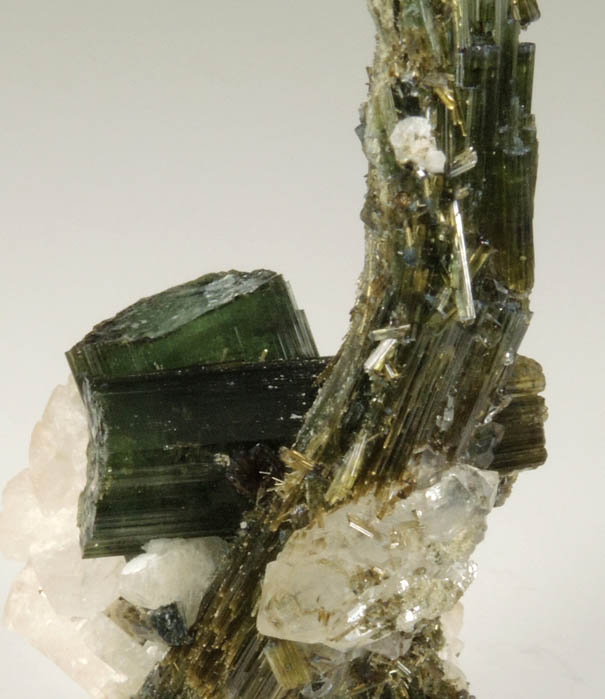 Elbaite Tourmaline (S-shaped curved crystals) with Quartz and Albite from Cruzeiro Mine, Santa Maria do Suacui, Minas Gerais, Brazil