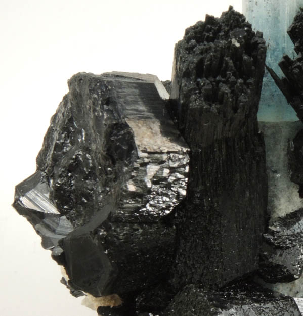 Beryl var. Aquamarine in Schorl Tourmaline from Erongo Mountains, 20 km north of Usakos, Damaraland, Namibia