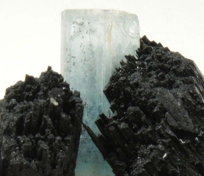 Beryl var. Aquamarine in Schorl Tourmaline from Erongo Mountains, 20 km north of Usakos, Damaraland, Namibia