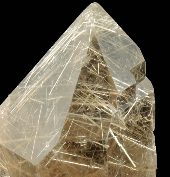 Quartz with Rutile inclusions (Rutilated Quartz) from Novo Horizonte, Bahia, Brazil