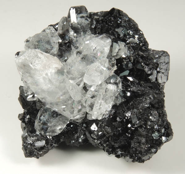 Gaudefroyite with Calcite overgrowth from N'Chwaning II Mine, Kalahari Manganese Field, Northern Cape Province, South Africa