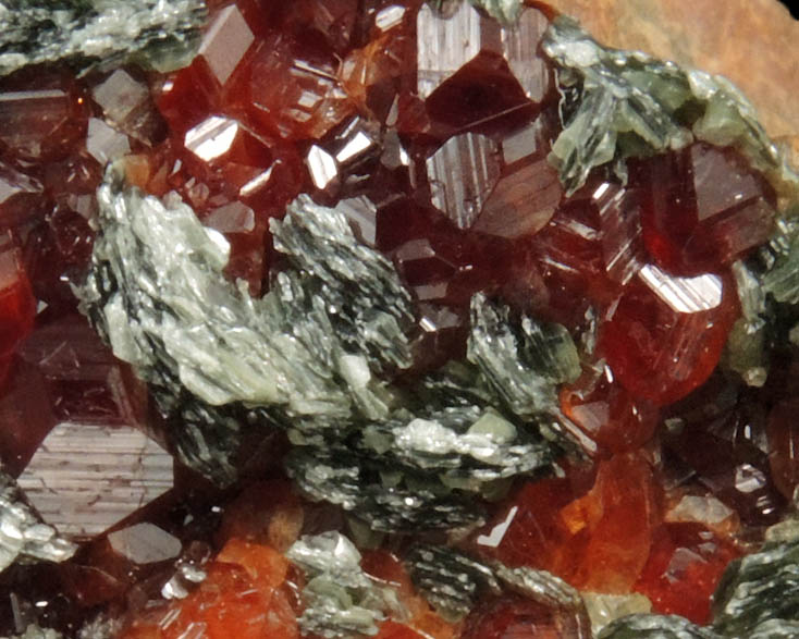 Grossular Garnet with Clinochlore from Val d'Ala, Piemonte, Italy