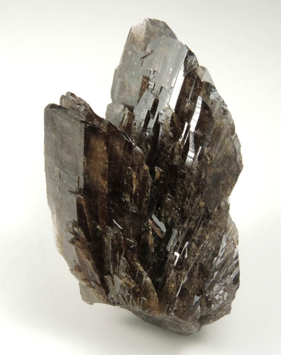 Axinite-(Fe), formerly known as Ferro-axinite from Borosilikatnoye deposit, Dalnegorsk, Primorskiy Kray, Russia