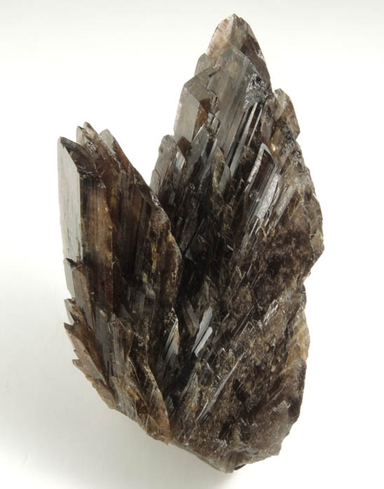 Axinite-(Fe), formerly known as Ferro-axinite from Borosilikatnoye deposit, Dalnegorsk, Primorskiy Kray, Russia