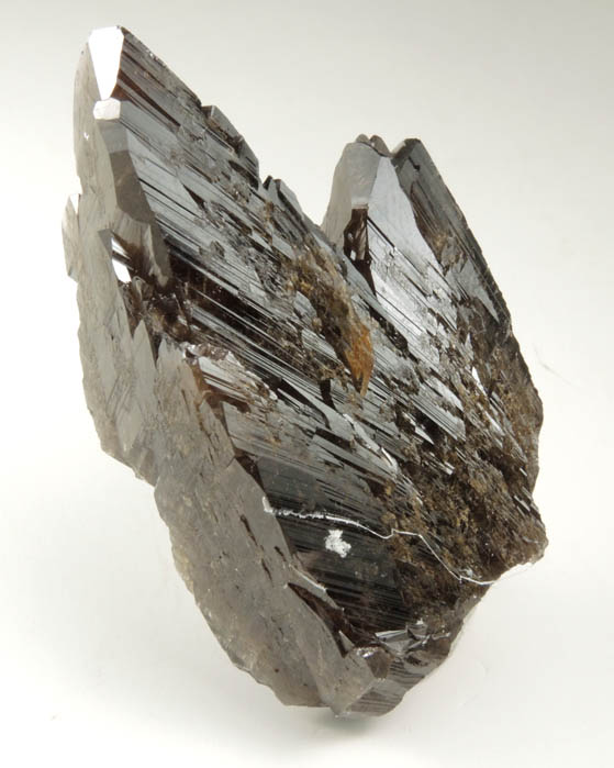 Axinite-(Fe), formerly known as Ferro-axinite from Borosilikatnoye deposit, Dalnegorsk, Primorskiy Kray, Russia