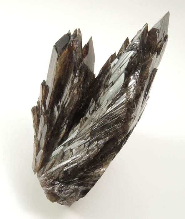 Axinite-(Fe), formerly known as Ferro-axinite from Borosilikatnoye deposit, Dalnegorsk, Primorskiy Kray, Russia