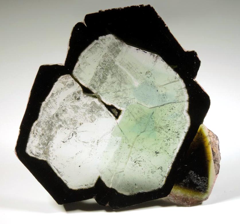 Liddicoatite Tourmaline Slice from Alakamisy Itenina, south of Antsirab, Fianarantsoa, Haute Matsiatra, Madagascar (Type Locality for Liddicoatite)