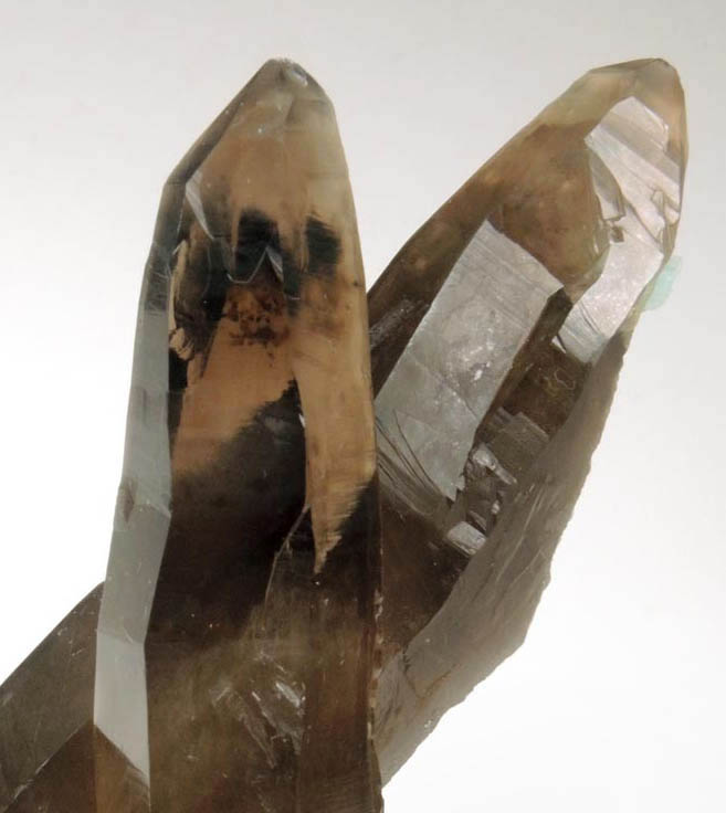 Quartz var. Smoky Quartz (Dauphin twin) from Echo Chamber Pocket, Dreamtime Claim, Crystal Peak area, 6.5 km northeast of Lake George, Teller County, Colorado