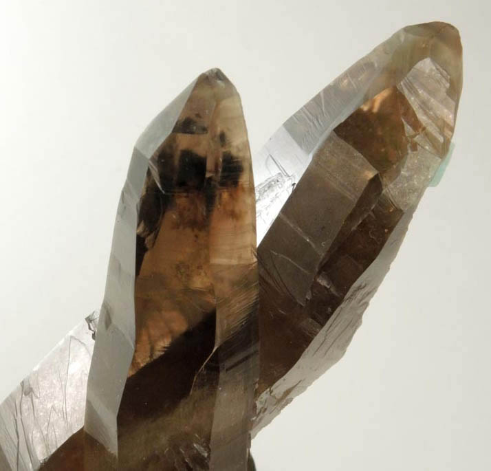 Quartz var. Smoky Quartz (Dauphin twin) from Echo Chamber Pocket, Dreamtime Claim, Crystal Peak area, 6.5 km northeast of Lake George, Teller County, Colorado