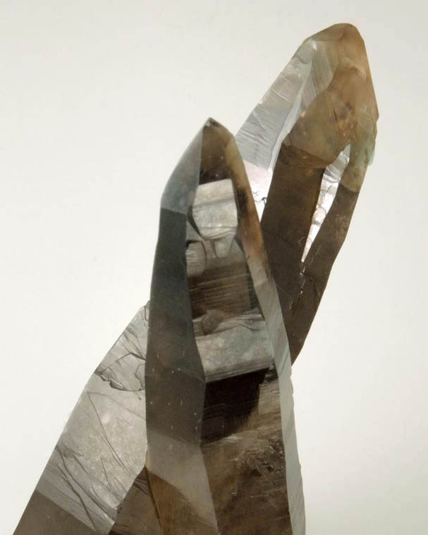 Quartz var. Smoky Quartz (Dauphin twin) from Echo Chamber Pocket, Dreamtime Claim, Crystal Peak area, 6.5 km northeast of Lake George, Teller County, Colorado