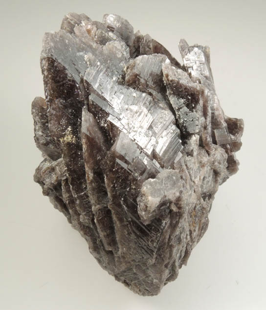 Axinite-(Fe), formerly known as Ferro-axinite from Dalnegorsk, Primorskiy Kray, Russia