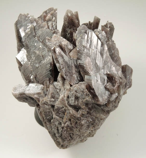 Axinite-(Fe), formerly known as Ferro-axinite from Dalnegorsk, Primorskiy Kray, Russia