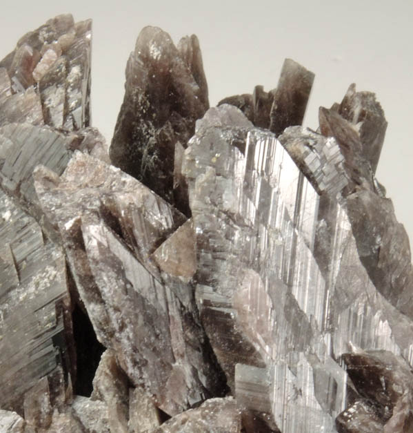 Axinite-(Fe), formerly known as Ferro-axinite from Dalnegorsk, Primorskiy Kray, Russia