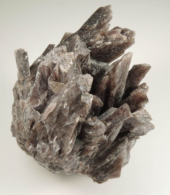 Axinite-(Fe), formerly known as Ferro-axinite from Dalnegorsk, Primorskiy Kray, Russia