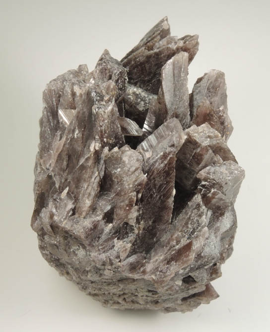 Axinite-(Fe), formerly known as Ferro-axinite from Dalnegorsk, Primorskiy Kray, Russia