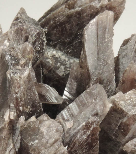 Axinite-(Fe), formerly known as Ferro-axinite from Dalnegorsk, Primorskiy Kray, Russia