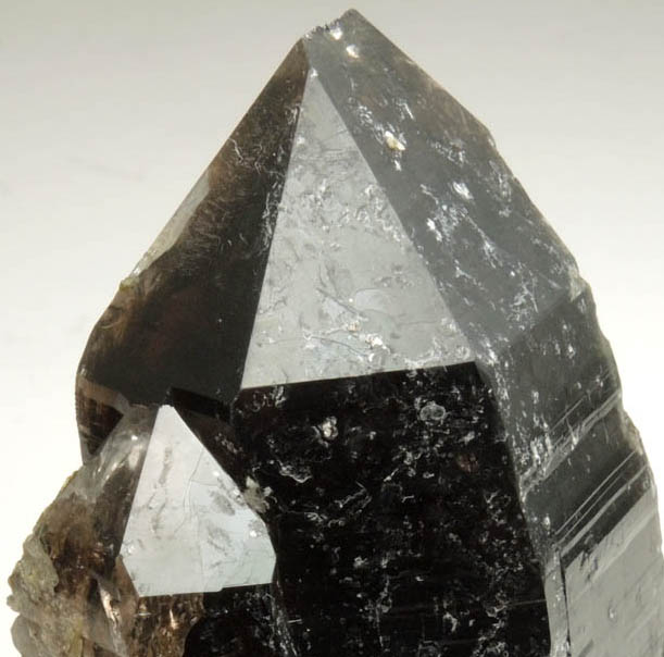 Quartz var. Smoky Quartz with Muscovite from Berry Quarry, Poland, Androscoggin County, Maine