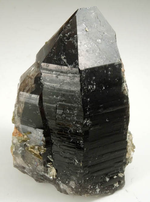 Quartz var. Smoky Quartz with Muscovite from Berry Quarry, Poland, Androscoggin County, Maine