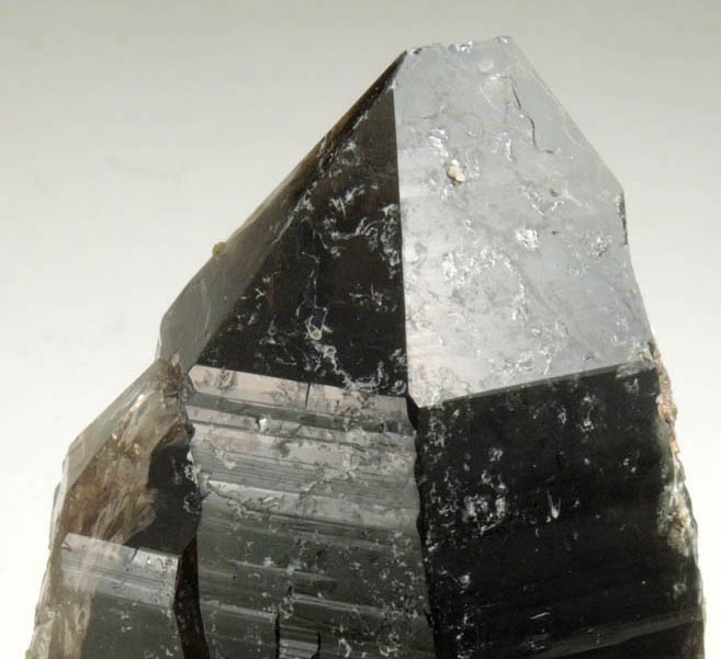 Quartz var. Smoky Quartz with Muscovite from Berry Quarry, Poland, Androscoggin County, Maine