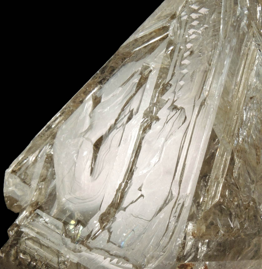 Quartz var. Skeletal Smoky Quartz from railroad cut on eastern shore of Hudson River, between Schodack Landing and Poolsburg, Columbia County, New York