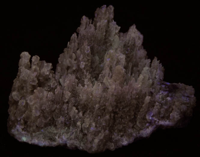 Photo below under shortwave ultraviolet illumination of Calcite (stalactitic) from Open Pit Mine, 2600' Level, Kramer Deposit, Boron, Kern County, California Calcite (stalactitic) from Open Pit Mine, 2600' Level, Kramer Deposit, Boron, Kern County, California