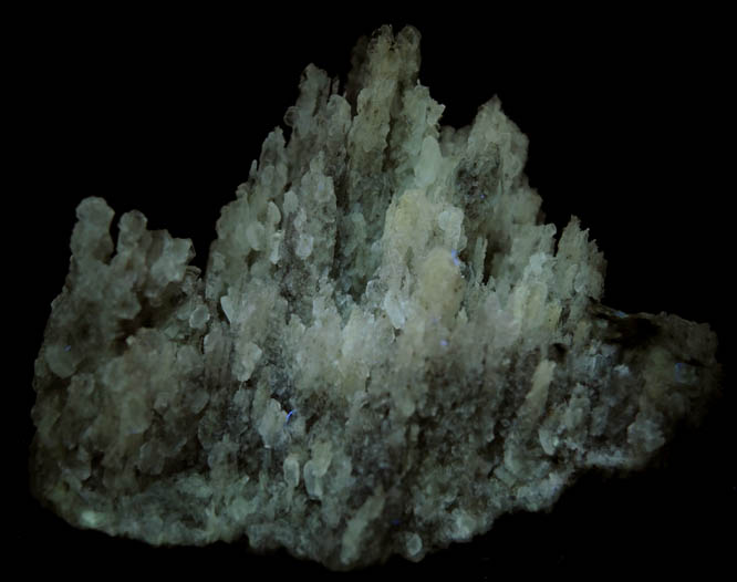 Photo below under longwave ultraviolet illumination of Calcite (stalactitic) from Open Pit Mine, 2600' Level, Kramer Deposit, Boron, Kern County, California Calcite (stalactitic) from Open Pit Mine, 2600' Level, Kramer Deposit, Boron, Kern County, California