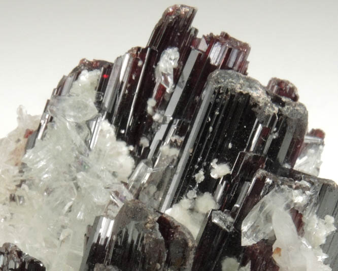 Hbnerite and Quartz from Mina Huayllapon, Pasto Bueno District, Pallasca Province, Ancash Department, Peru