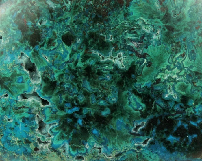 Malachite and Chrysocolla (Palm Stone) from Arizona