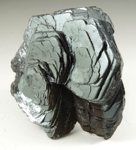 Hematite var. Iron Rose from Miguel Burnier, Ouro Preto, Minas Gerais, Brazil