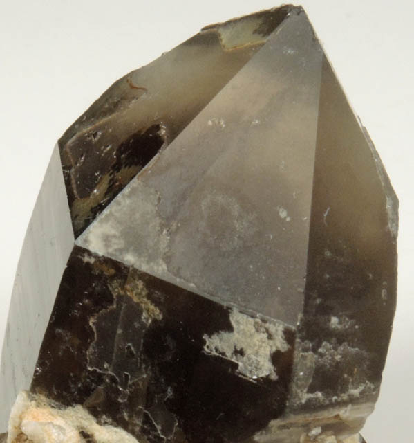 Quartz var. Smoky Quartz from North Moat Mountain, Bartlett, Carroll County, New Hampshire