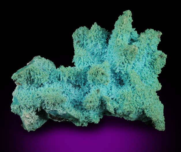 Chrysocolla pseudomorphs after Azurite from Luputo Mine, Lubumbashi, Katanga Copperbelt, Haut-Katanga Province, Democratic Republic of the Congo