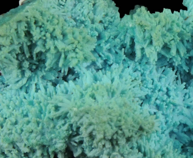 Chrysocolla pseudomorphs after Azurite from Luputo Mine, Lubumbashi, Katanga Copperbelt, Haut-Katanga Province, Democratic Republic of the Congo