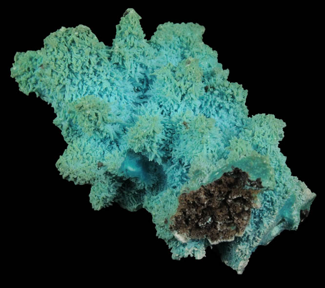 Chrysocolla pseudomorphs after Azurite from Luputo Mine, Lubumbashi, Katanga Copperbelt, Haut-Katanga Province, Democratic Republic of the Congo