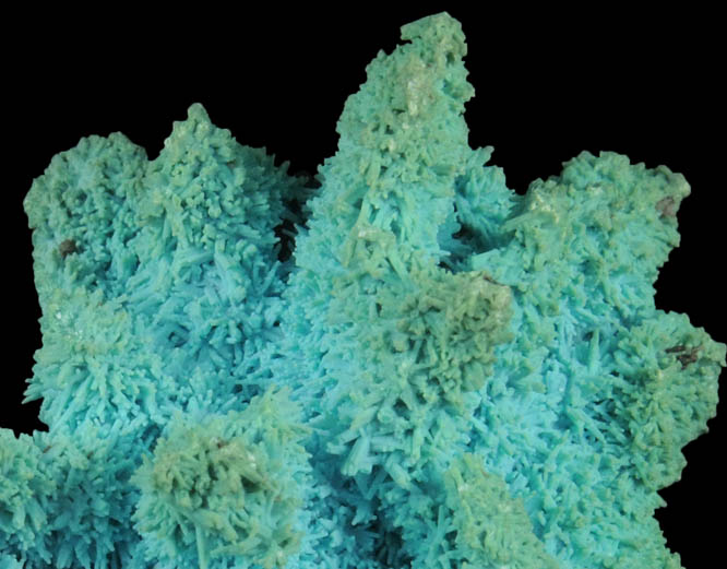 Chrysocolla pseudomorphs after Azurite from Luputo Mine, Lubumbashi, Katanga Copperbelt, Haut-Katanga Province, Democratic Republic of the Congo