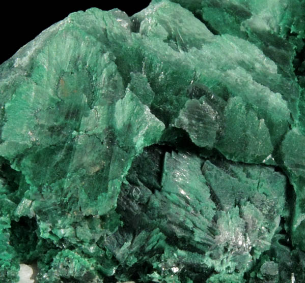 Malachite pseudomorphs after Azurite from Bisbee, Warren District, Cochise County, Arizona