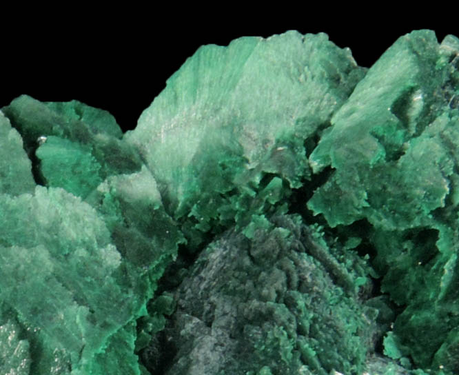 Malachite pseudomorphs after Azurite from Bisbee, Warren District, Cochise County, Arizona