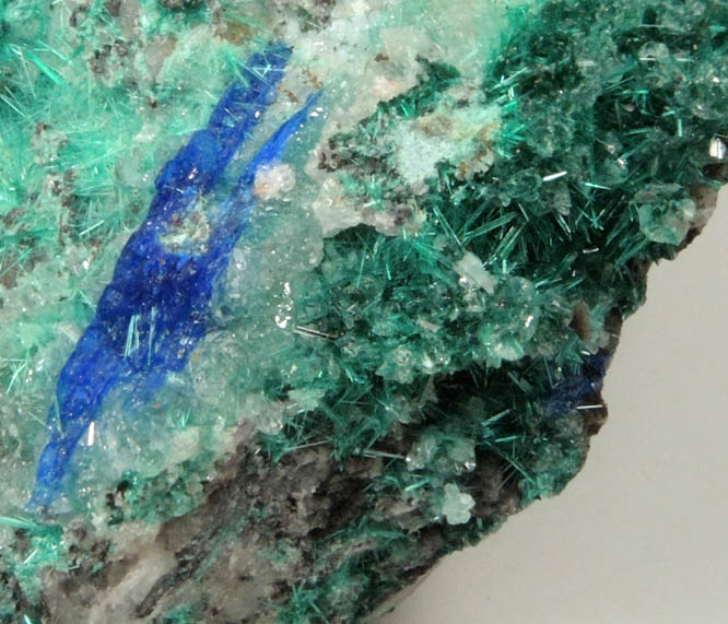 Linarite and Brochantite from Goulmima, Errachidia, Morocco