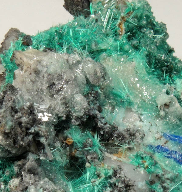 Linarite and Brochantite from Goulmima, Errachidia, Morocco