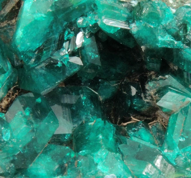 Dioptase from Tantara, 26 WSW of Likasi, Katanga Copperbelt, Haut-Katanga Province, Democratic Republic of the Congo