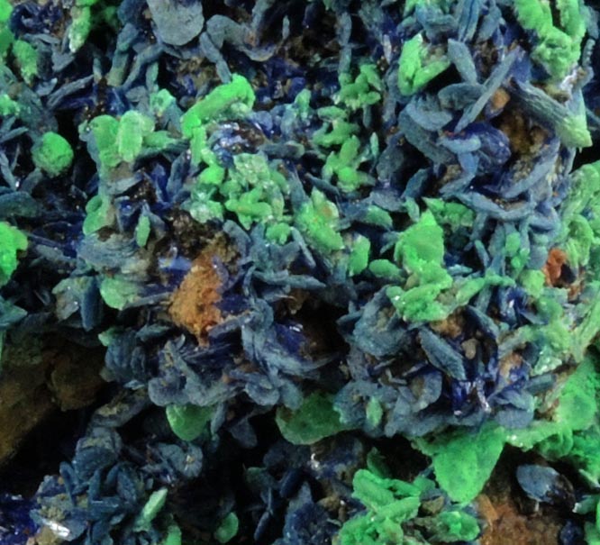 Azurite and Malachite pseudomorphs after Azurite over Quartz from M'Ssici, Alnif, Dra-Tafilalet, Morocco