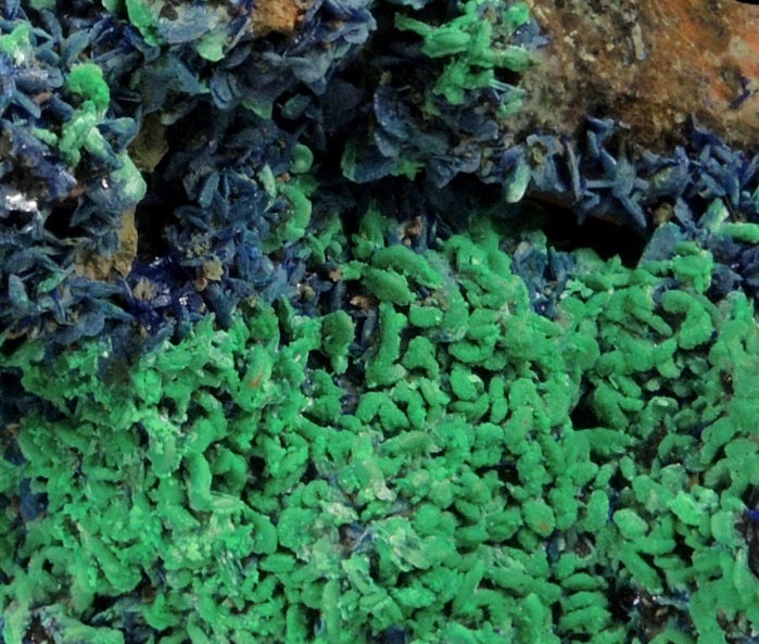 Azurite and Malachite pseudomorphs after Azurite over Quartz from M'Ssici, Alnif, Dra-Tafilalet, Morocco