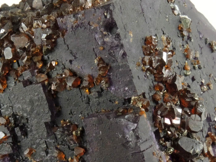 Sphalerite on Fluorite from Denton Mine, Harris Creek District, Hardin County, Illinois