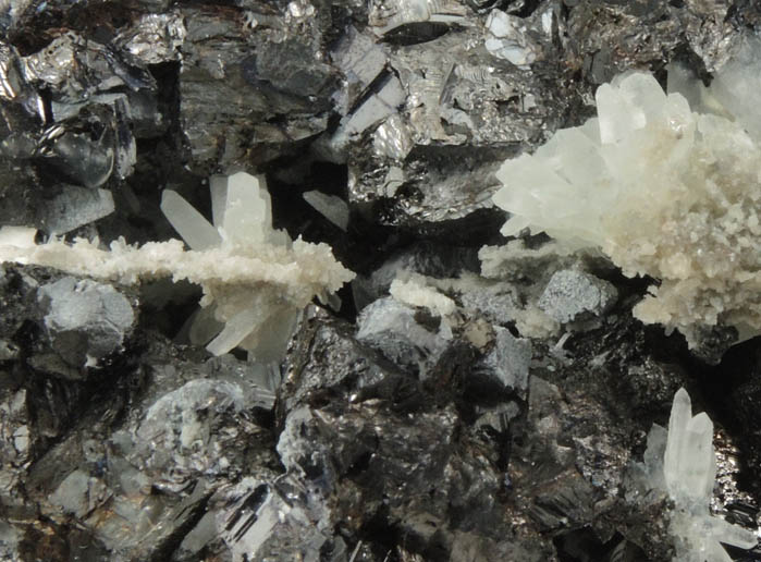 Sphalerite on Galena from Madan District, Rhodope Mountains, Bulgaria