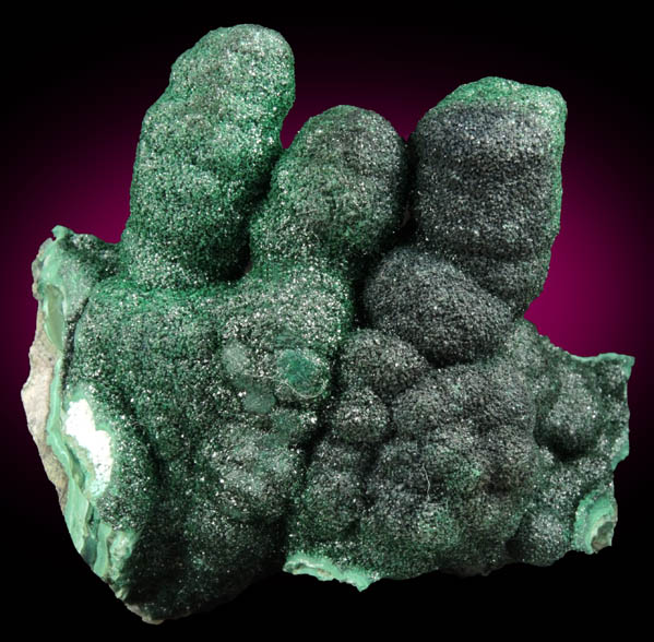 Malachite (stalactitic) from Kolwezi Mining District, 240 km WNW of  Lubumbashi, Katanga Copperbelt, Lualaba Province, Democratic Republic of the Congo