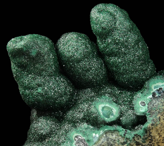 Malachite (stalactitic) from Kolwezi Mining District, 240 km WNW of  Lubumbashi, Katanga Copperbelt, Lualaba Province, Democratic Republic of the Congo