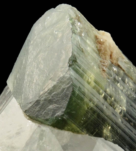 Elbaite var. Bi-colored Tourmaline in Quartz-Albite from Stak Nala, Skardu Road, Baltistan, Gilgit-Baltistan, Pakistan