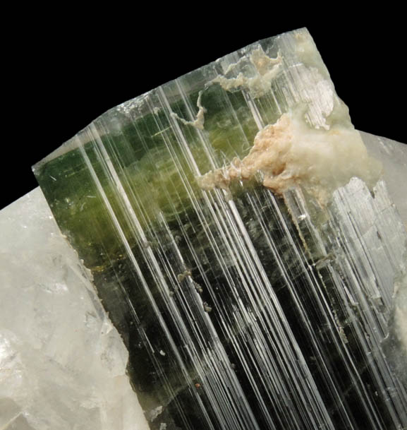 Elbaite var. Bi-colored Tourmaline in Quartz-Albite from Stak Nala, Skardu Road, Baltistan, Gilgit-Baltistan, Pakistan