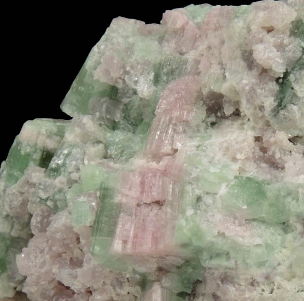 Elbaite Tourmaline in Lepidolite from Havey Quarry, Poland, Androscoggin County, Maine