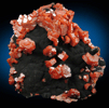 Vanadinite on Fe-Mn-oxides from Taouz, Er Rachidia, Meknes-Tafilalet, Morocco