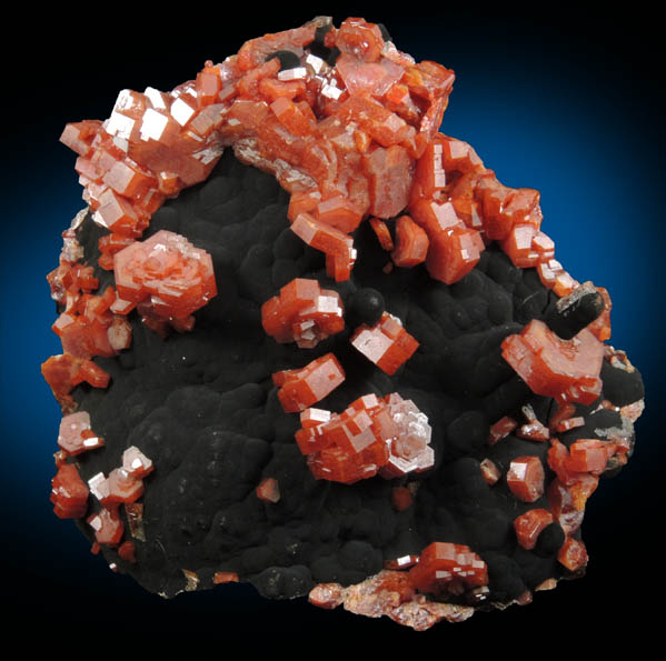 Vanadinite on Fe-Mn-oxides from Taouz, Er Rachidia, Meknes-Tafilalet, Morocco